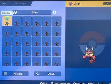 Litten pokemon voilet en scarlet