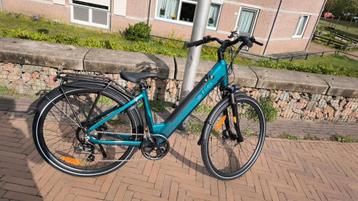 Gestolen elektrische fiets Fiido C11 Mierlo