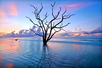 Led mini beamen van salora ruilen tegen smartphone