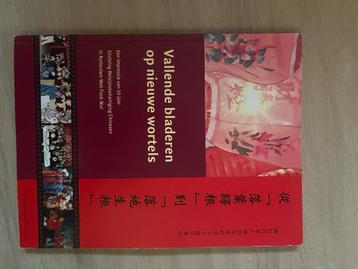 GRATIS boek - Chinezen in Rotterdam