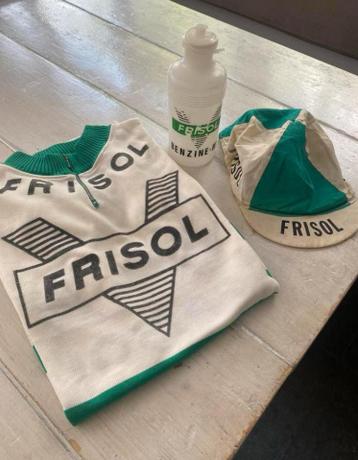 Frisol gazelle