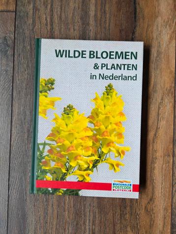 Wilde Bloemen & Planten in Nederland