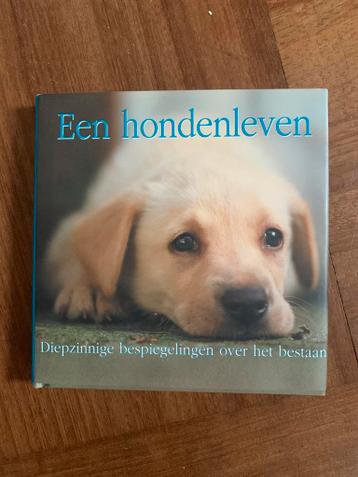 HONDENLEVEN