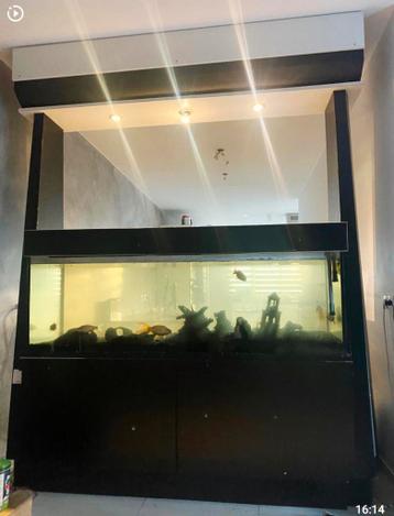 Top Aquarium met schade