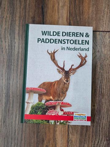 Wilde Dieren & Paddenstoelen in Nederland