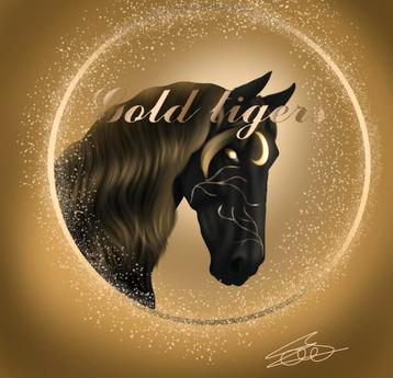 Club leden sso gezocht gold tigers