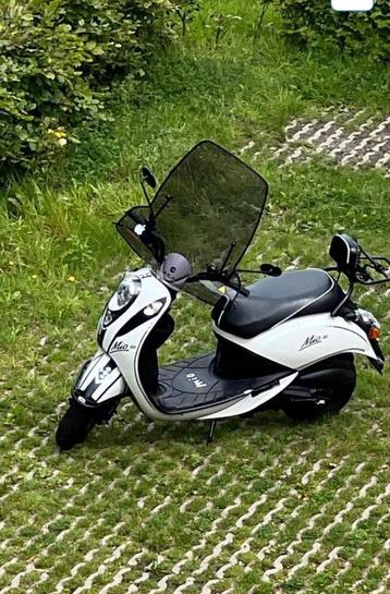 Opknap Scooters Gezocht!