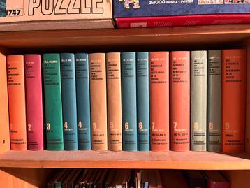 Kroniek dr. Lou de Jong