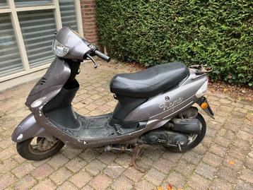 Scooter Killerbee Roma