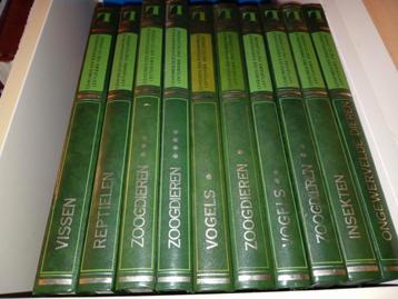 Geheimen der dierenwereld