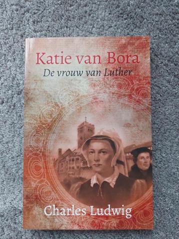 Levensbeschrijvingen divers 13x