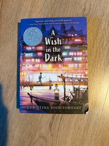 A Wish in the Dark - Christina Soontornvat