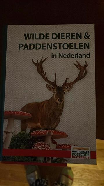 Dieren en paddenstoelen