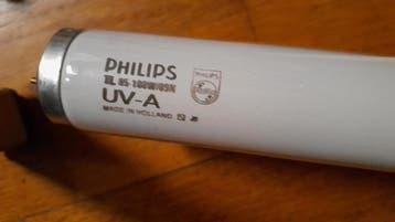 Philipd UV-A Riho 100 watt 176cm bruiningslamp TL 100W/10-R