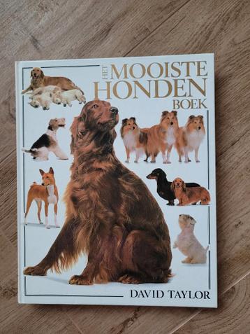 Het mooiste hondenboek