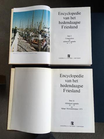 Friese boeken en boeken over Friesland