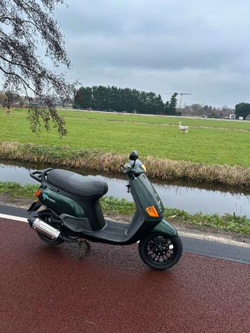 Valbeugels gezocht skipper quartz