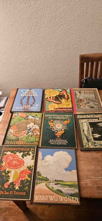 Verkade albums - diverse jaargangen