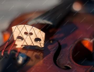 Gezocht: ALTviool te leen/huur (volwassene)