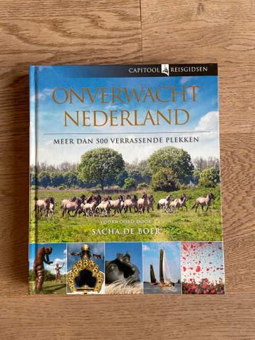 Onverwacht Nederland - Capitool Reisgids