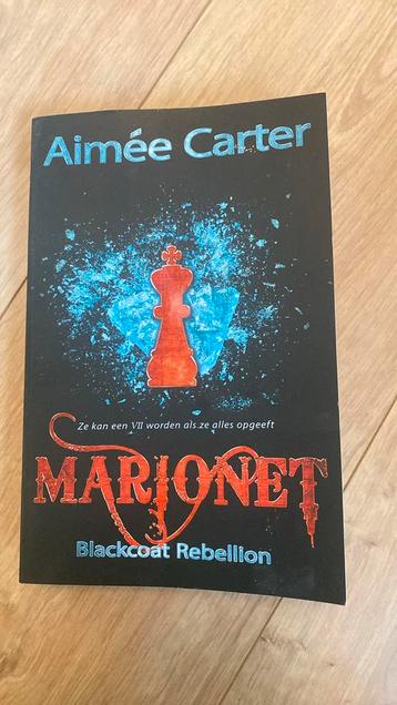 Marionet boek voor jong volwassenen