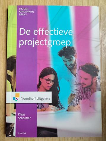 De effectieve projectgroep (gratis)
