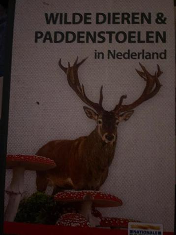 Wilde Dieren & Paddestoelen in Nederland