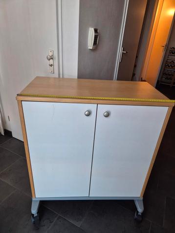 Ikea kast met deuren en planken (verrijdbaar)