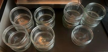 13 Ovenbestendige Glazen Schaaltjes