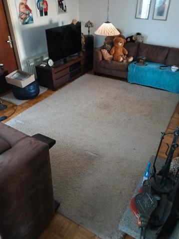 Groot hoogpolig SUPERIEURE vloerkleed beige creme 350x250 cm