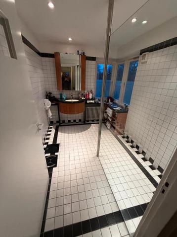 Badkamer glaswand wc pot meubel gratis