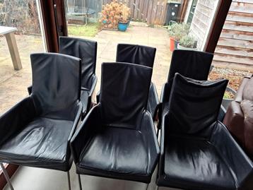 Set van 5 (6) leren eetkamerstoelen - Gratis!