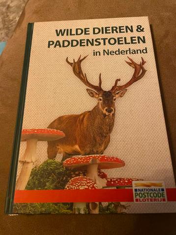 Wilde dieren & paddenstoelen in Nederland