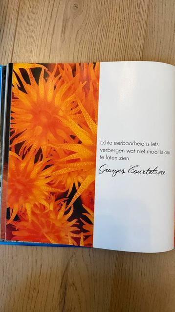 Boek met zingevende spreuken + CD - Perfecte staat!