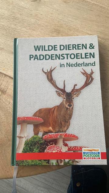 Wilde dieren & paddenstoelen in Nederland