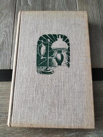 Nelly van Dijk Has De brandende lamp