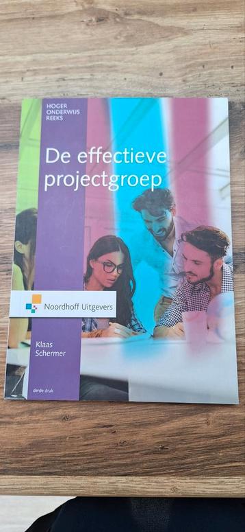 De Effectieve Projectgroep - Klaas Schermer