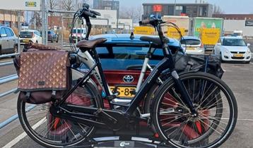 Gestolen! Batavus Finez