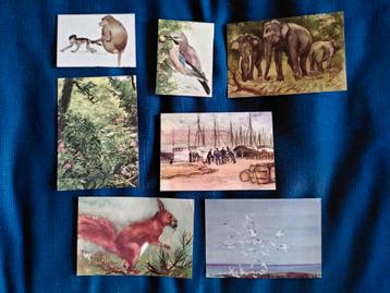 Zeven plaatjes Portielje