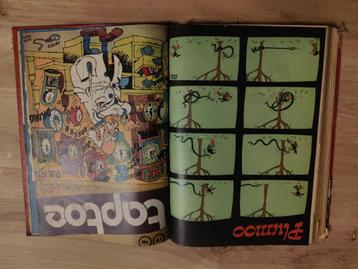 taptoe 1971 1e trimester, 1973 3e trimester