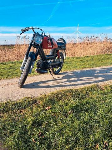 ‼️Café Racer‼️