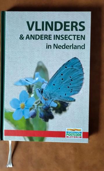 Vlinders & andere insecten in Nederland - ZGAN