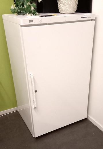 Liebherr koelkast