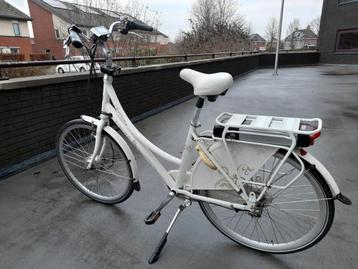 Eigenaresse gezocht, gratis