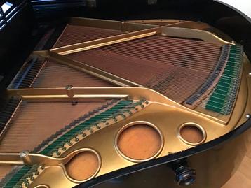 Gratis 'Baby vleugel' Hofmann