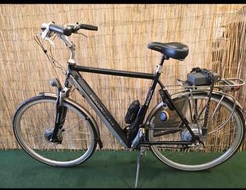 Koga miyata tesla heren