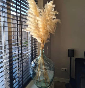 GRATIS Stijlvolle zwarte lamellen met ladderband (150x140)