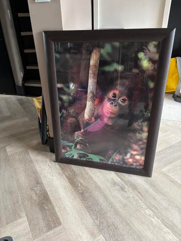 Grote fotolijst met aap