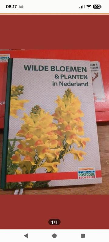 Wilde Bloemen & Planten in Nederland - Natuurboek