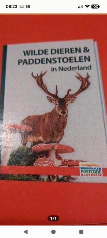 Wilde dieren & paddenstoelen in Nederland